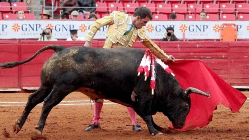 JUEZ RECHAZA SUSPENDER CORRIDAS DE TOROS EN LA PLAZA MÉXICO