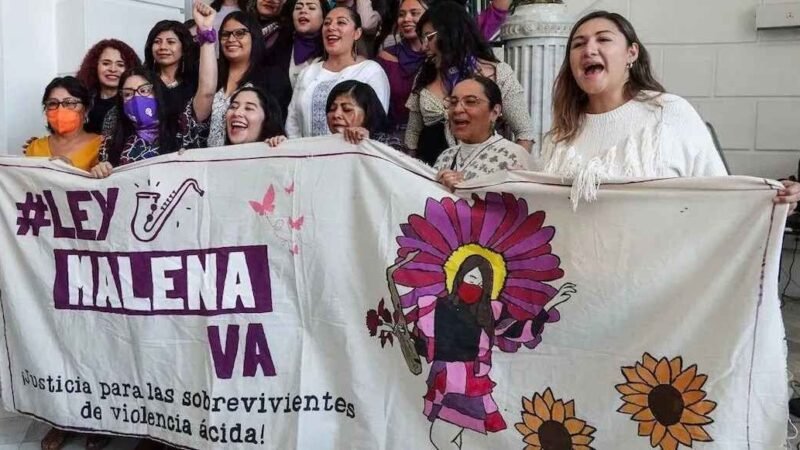 PUBLICAN ‘LEY MALENA’ QUE TIPIFICA COMO DELITO LA ‘VIOLENCIA ÁCIDA’