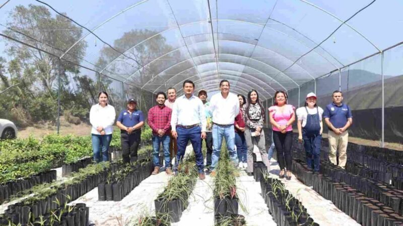 PONEN EN FUNCIONAMIENTO VIVERO FORESTAL EN ATOYAC