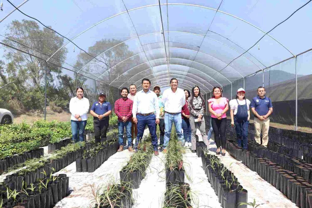 PONEN EN FUNCIONAMIENTO VIVERO FORESTAL EN ATOYAC