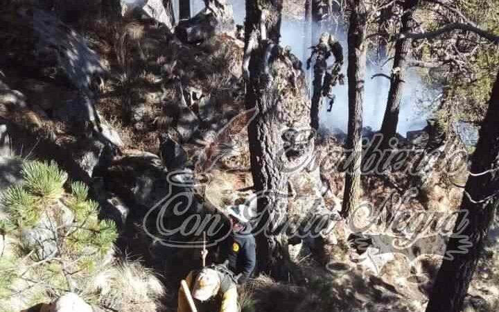 INCENDIO CONSUME MÁS DE 20 HECTÁREAS EN PICO DE ORIZABA