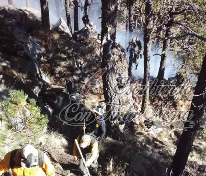INCENDIO CONSUME MÁS DE 20 HECTÁREAS EN PICO DE ORIZABA