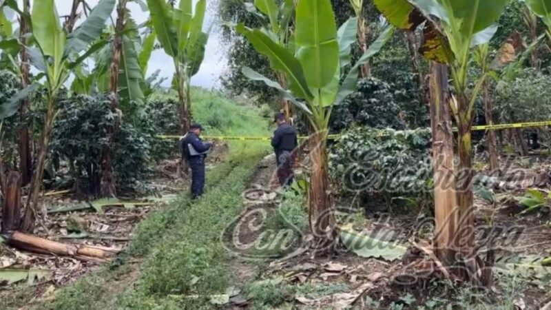 LO ENCUENTRAN COLGADO DE UN ÁRBOL