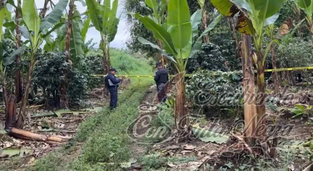 LO ENCUENTRAN COLGADO DE UN ÁRBOL