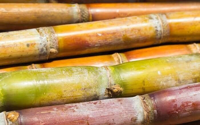 PRODUCTORES DE CAÑA RECLAMAN PAGO MILLONARIO