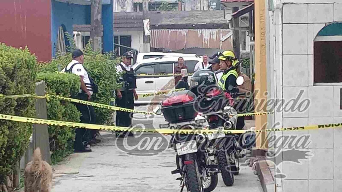 GOLPEABA A SU MADRE; EN VENGANZA, LO APUÑALAN