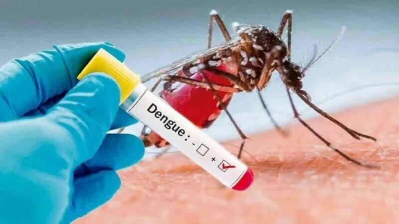 ARGENTINA SUPERA LOS 100,000 CASOS DE DENGUE