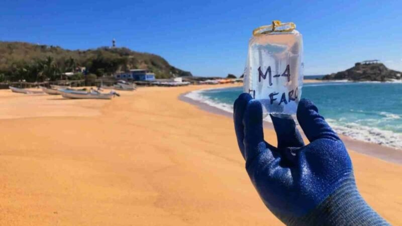 COFEPRIS ADVIERTE DE 6 PLAYAS NO APTAS PARA USO RECREATIVO