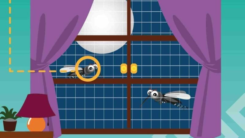 CONVOCAN A ELIMINAR CRIADEROS DE MOSCO TRANSMISOR DEL DENGUE