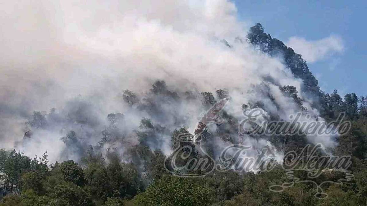 DEJA GOBIERNO DEL ESTADO EN EL DESAMPARO A GENTE DE CALCAHUALCO