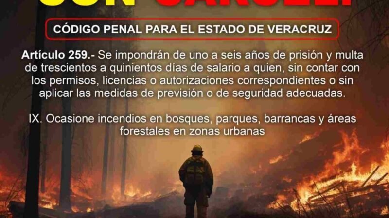 LAS QUEMAS AGROPECUARIAS FUERA DE LA NORMA OFICIAL MEXICANA ESTÁN PROHIBIDAS