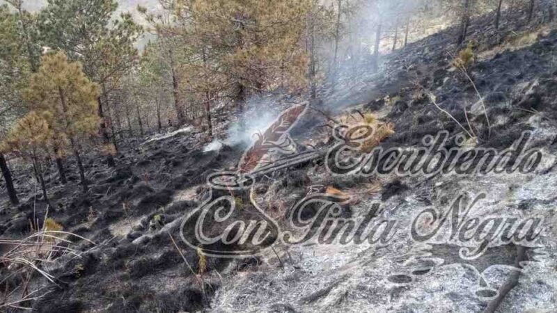 ¡FUEGO EN EL PICO DE ORIZABA!