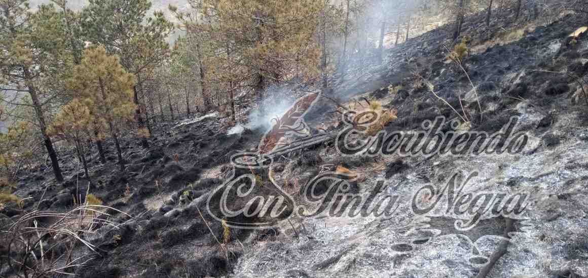 ¡FUEGO EN EL PICO DE ORIZABA!