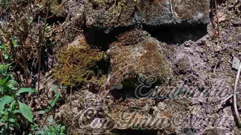 ENCUENTRAN MONOLITO DE ORIGEN PREHISPÁNICO EN CALCAHUALCO