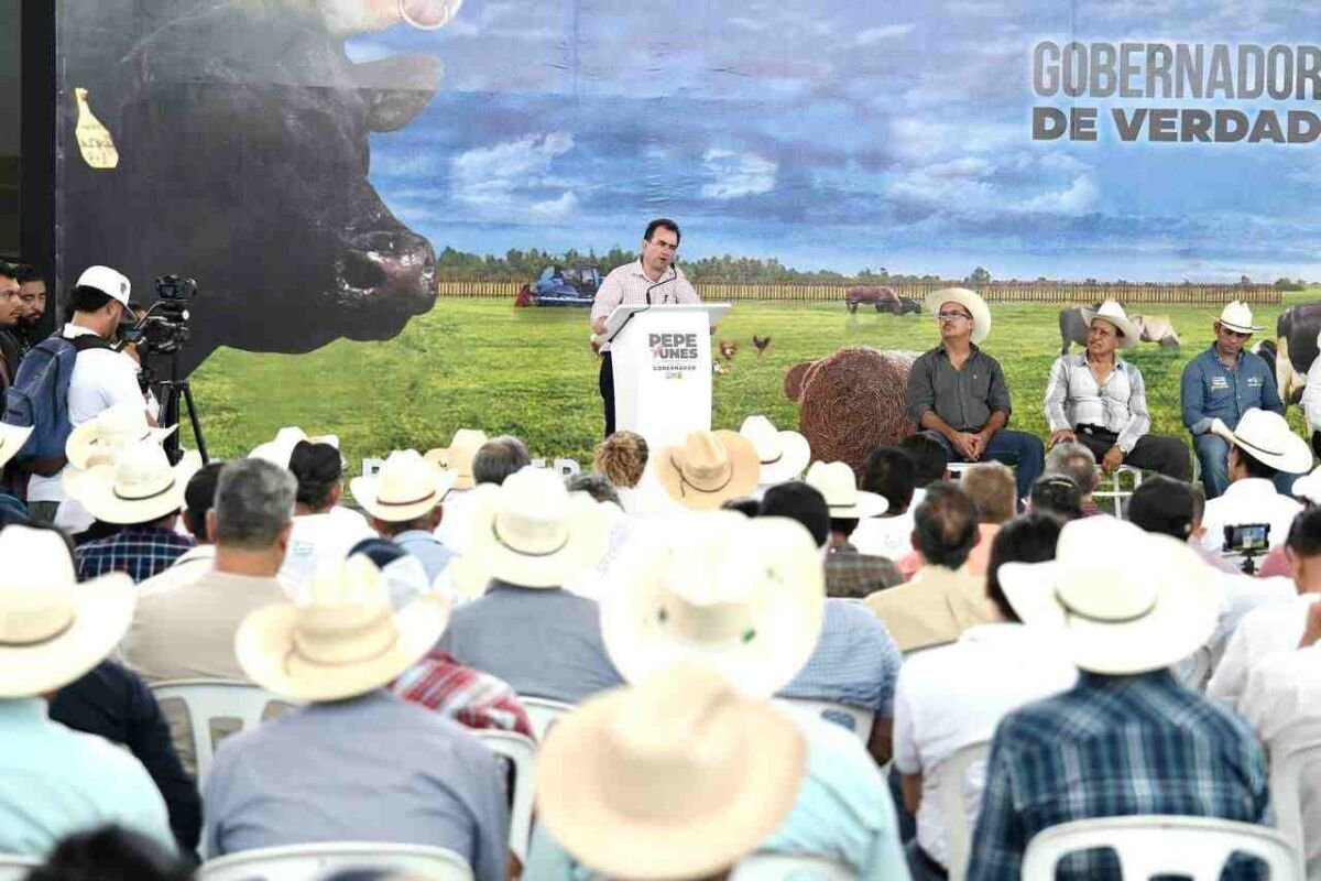 ANUNCIA PEPE YUNES RESCATE DE LA GANADERÍA EN VERACRUZ