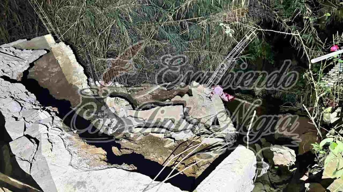 TRAGEDIA EN TOTUTLA; BARDA LE CAE ENCIMA A MENOR