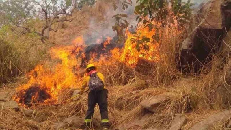 SUSPENDEN CLASES EN CHILPANCINGO POR CONTAMINACIÓN CAUSADA POR INCENDIOS FORESTALES