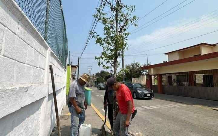 SIEMBRAN ÁRBOLES EN TOMATLÁN