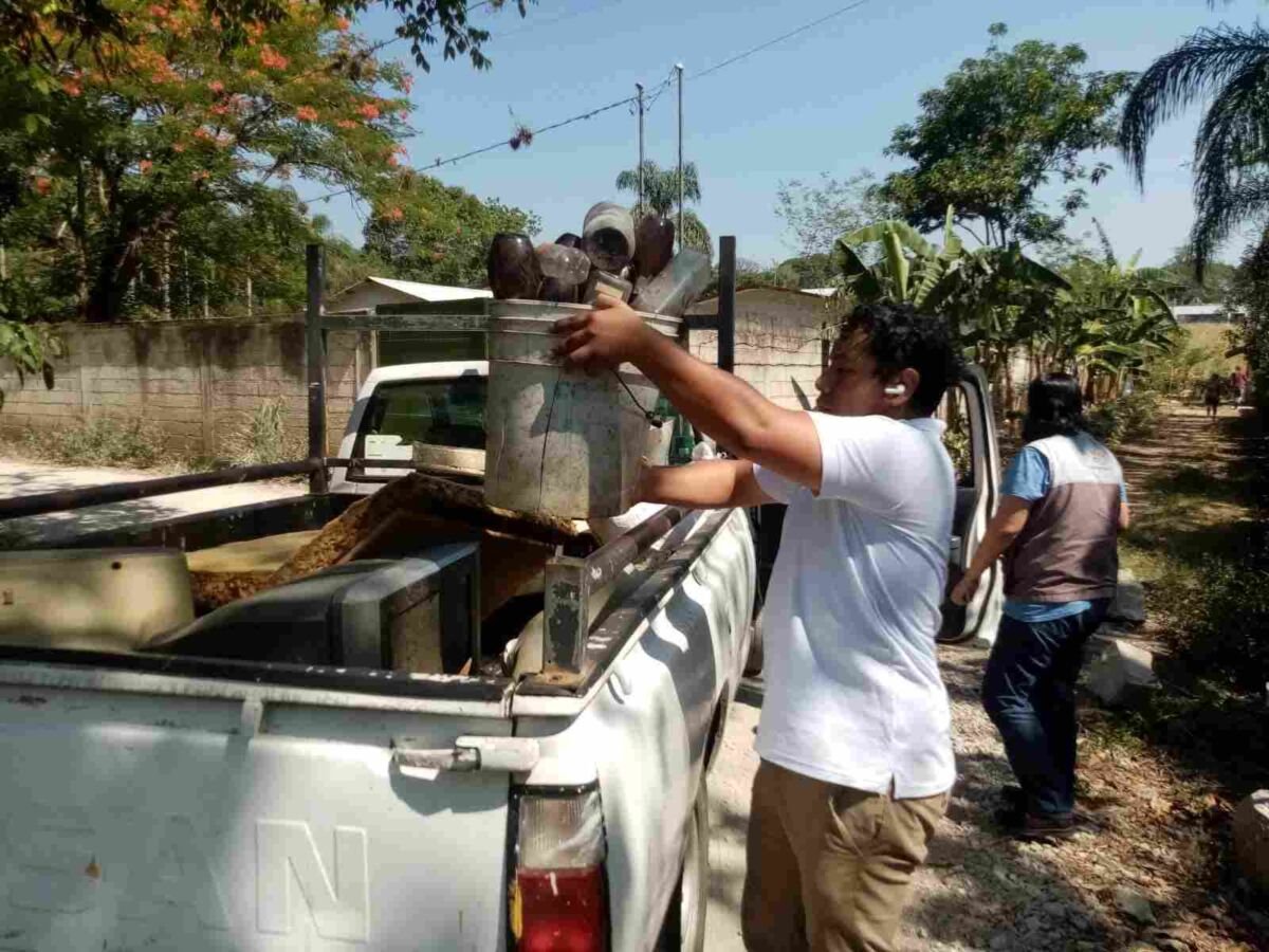 REFUERZAN LUCHA CONTRA EL DENGUE