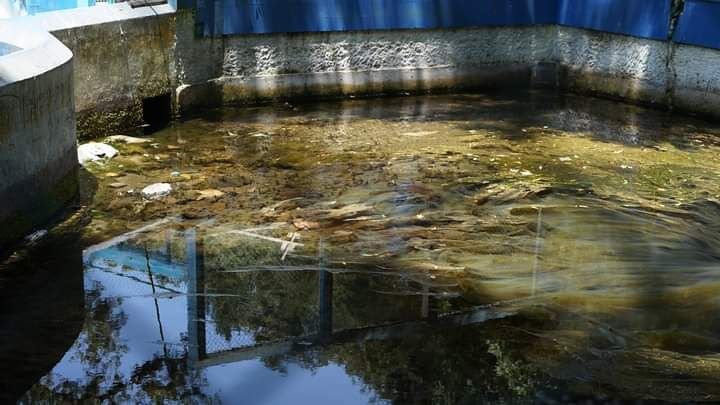 SE AGRAVA PROBLEMA DE DESABASTO DE AGUA EN COSCOMATEPEC