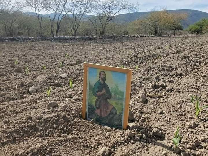 PERMANECEN 179 MUNICIPIOS CON SEQUÍA