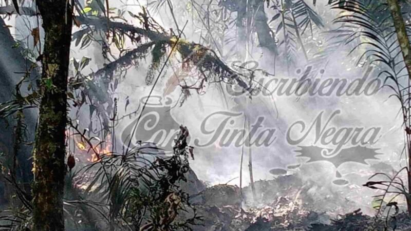REANUDAN COMBATE DE INCENDIO EN IXHUATLÁN