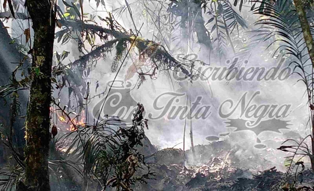 REANUDAN COMBATE DE INCENDIO EN IXHUATLÁN