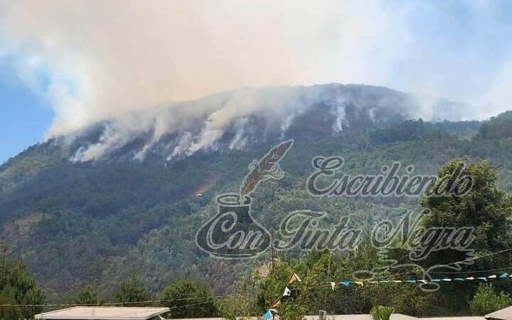 SE PIERDEN MÁS DE 150 HECTÁREAS POR INCENDIOS