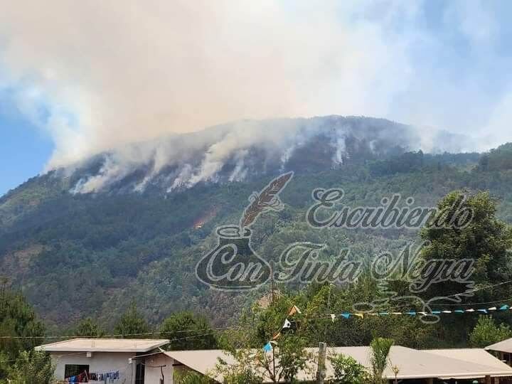 SE PIERDEN MÁS DE 150 HECTÁREAS POR INCENDIOS
