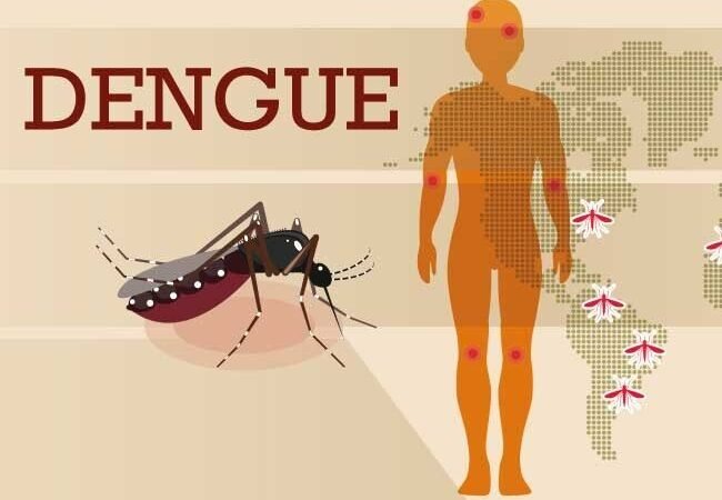 ARGENTINA SUPERA 508 MIL CASOS DE DENGUE EN EL 2024