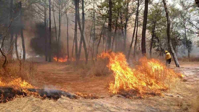 EVACUAN A 225 RECLUSOS DE PRISIÓN DE MÁXIMA SEGURIDAD EN CANADÁ POR INCENDIOS