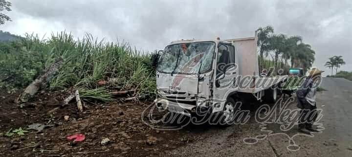 MUEREN AL ESTRELLARSE CONTRA PALMERA