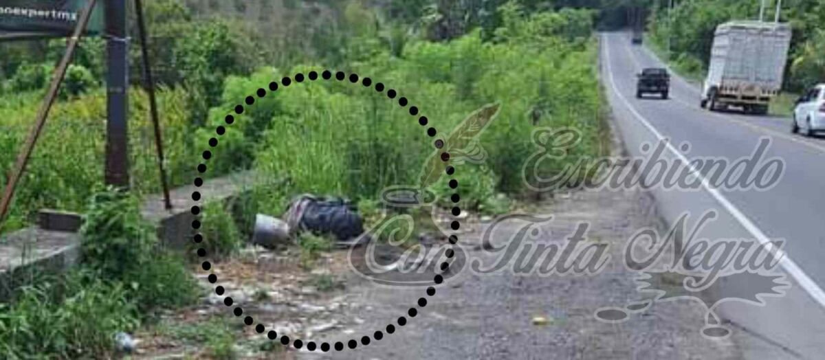 DEJAN “EMBOLSADO” JUNTO A LA CARRETERA