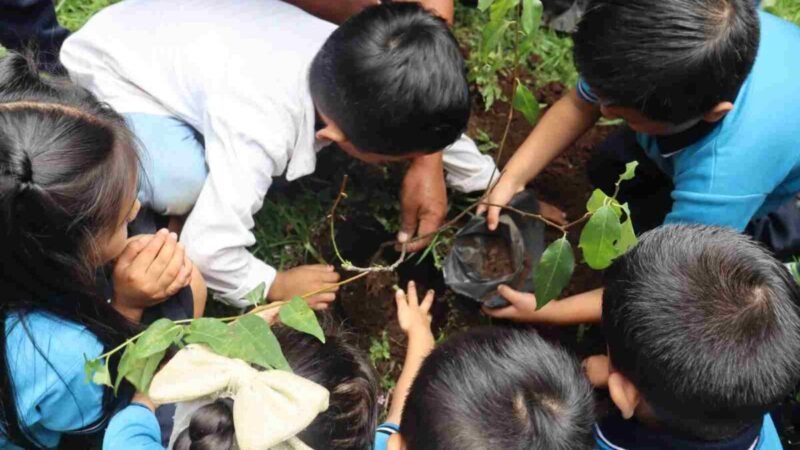 INICIA AYUNTAMIENTO DE FORTÍN CAMPAÑA DE REFORESTACIÓN A TRAVÉS DE ESCUELAS