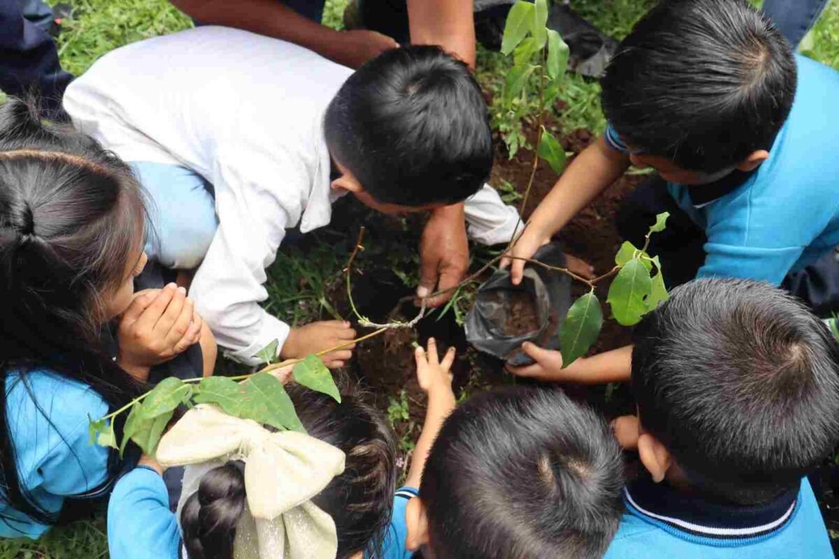 INICIA AYUNTAMIENTO DE FORTÍN CAMPAÑA DE REFORESTACIÓN A TRAVÉS DE ESCUELAS