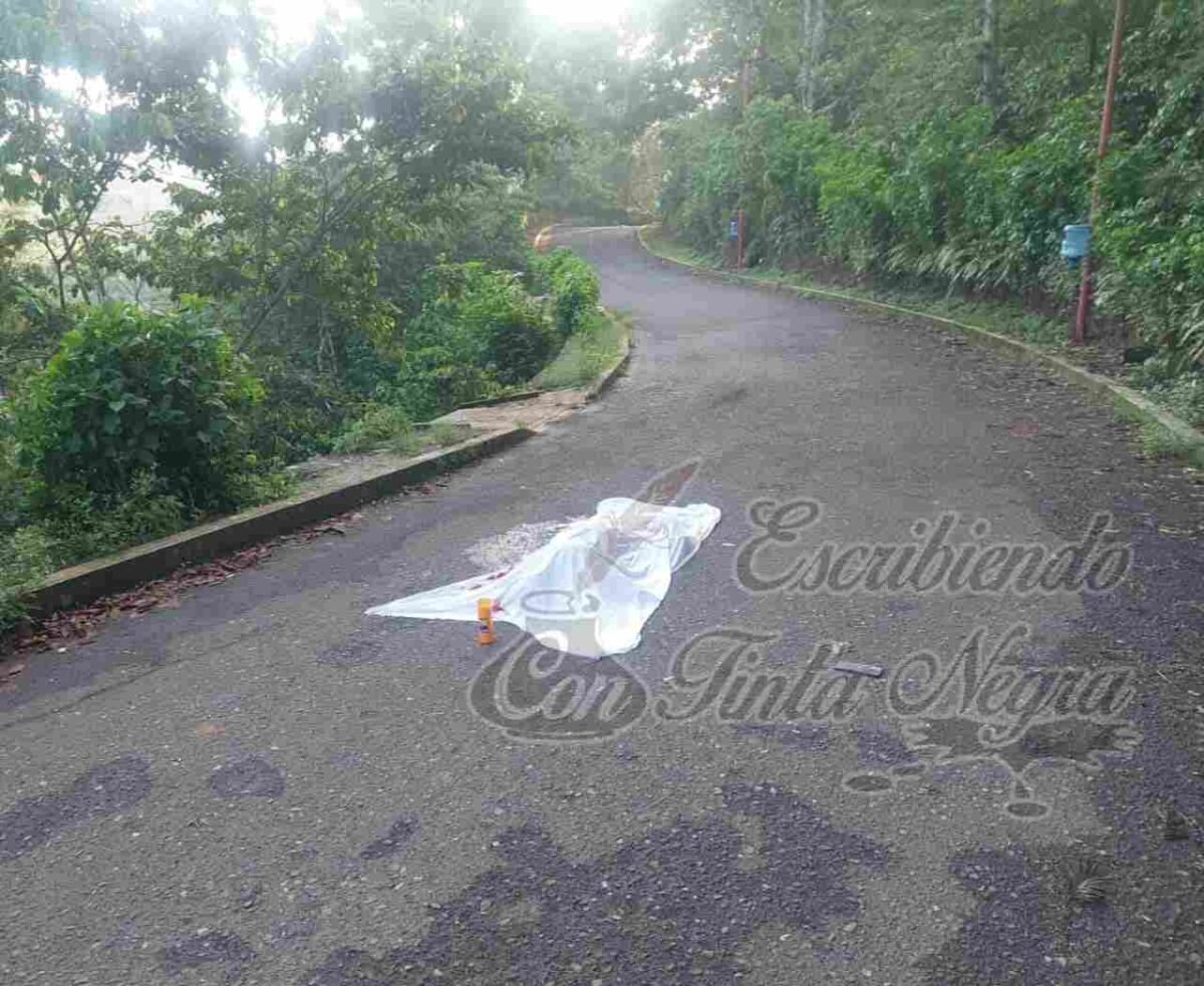 AUTO ARROLLA Y MATA A PEATÓN