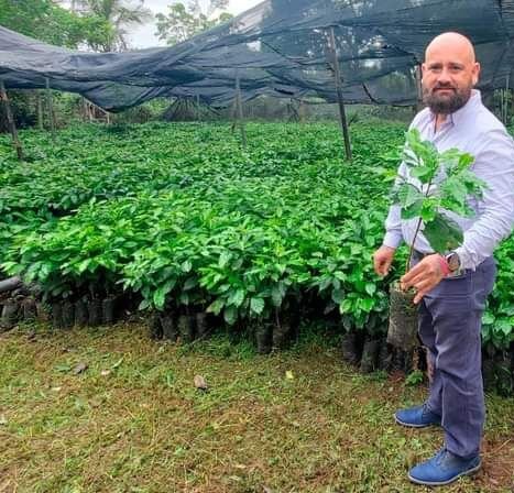 ENTREGAN PLANTA DE CAFÉ EN COMAPA
