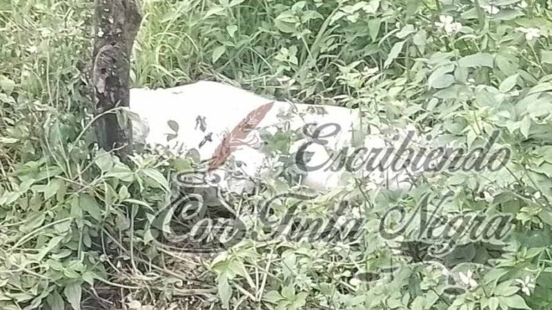 SIN IDENTIFICAR A EJECUTADA HALLADA EN COSCOMATEPEC; AUTORIDADES EMPRENDEN BÚSQUEDA DE SU FAMILIA