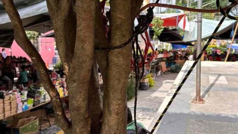 METEN EN CINTURA A TIANGUISTAS DE COSCO