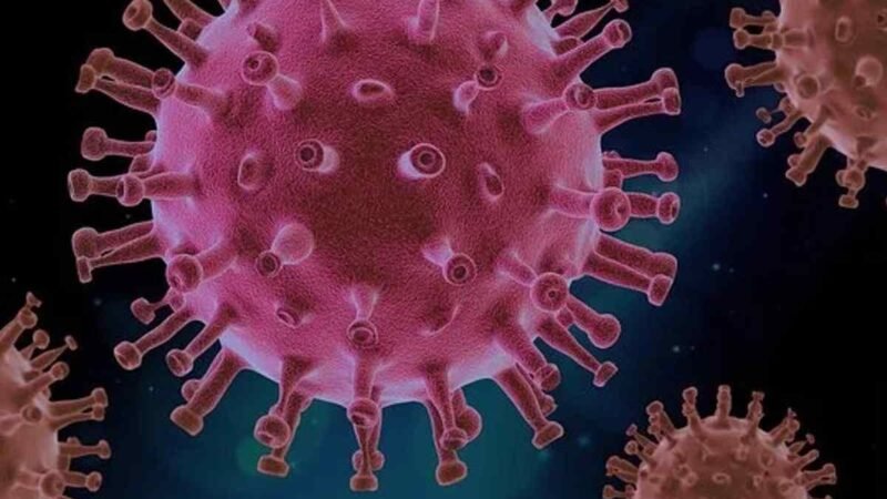 DETECTAN EL VIRUS DE LA POLIO EN AGUAS RESIDUALES DE GAZA