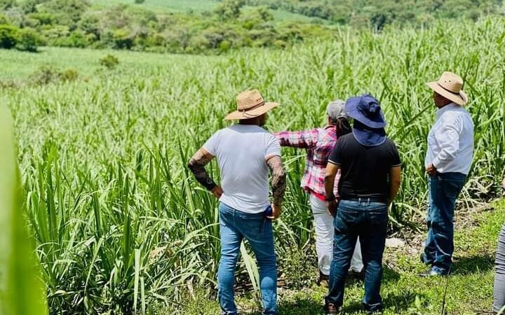 TOMATLÁN TENDRÁ NUEVO CEMENTERIO