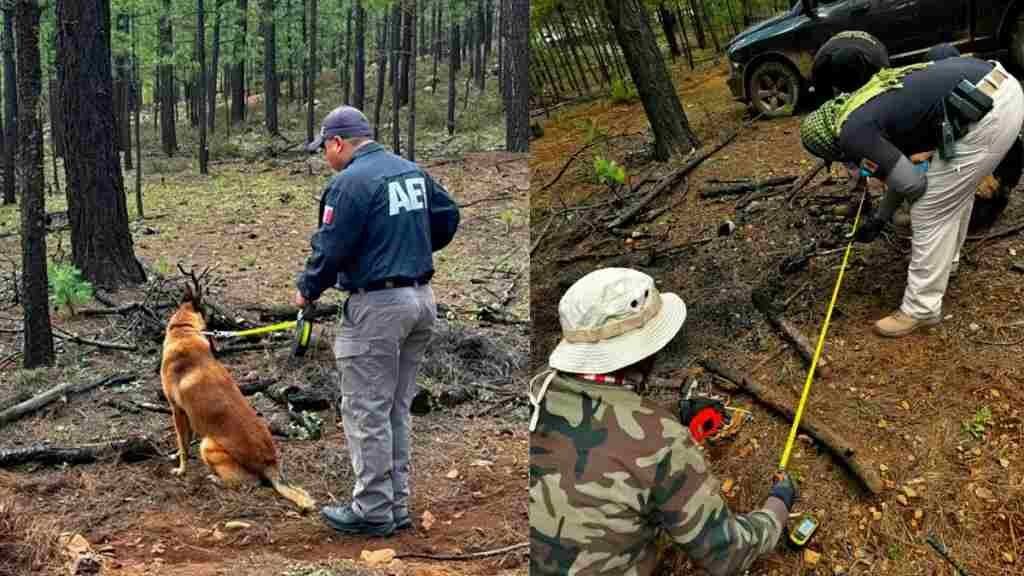 HALLAN MÁS DE 700 RESTOS ÓSEOS EN CHIHUAHUA