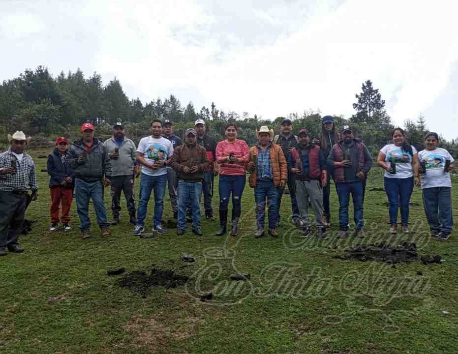 REFORESTAN EN CALCAHUALCO