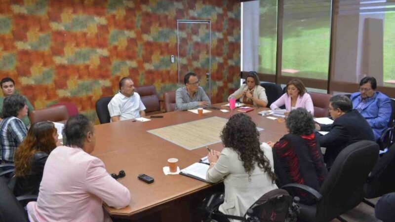 AVANZA DICTAMEN EN MATERIA DE PARTICIPACIÓN POLÍTICA DE PERSONAS CON DISCAPACIDAD