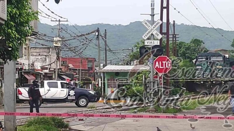 LO DESPEDAZA EL TREN