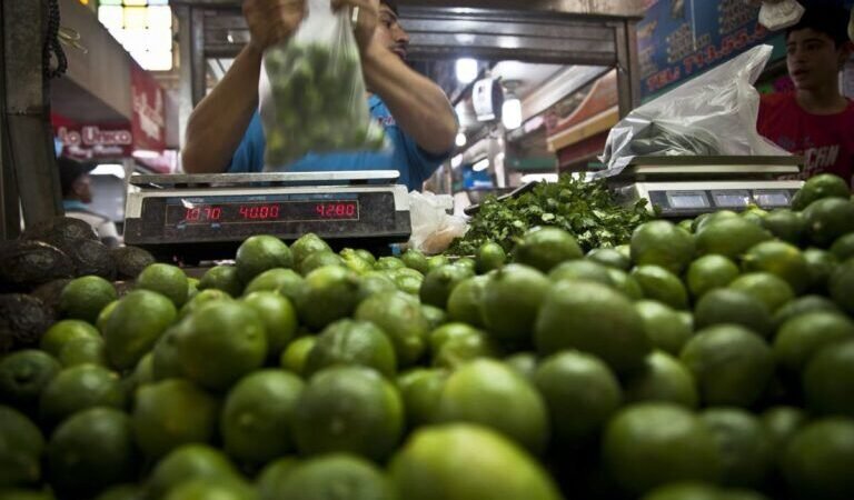 PRODUCTORES DE LIMÓN REALIZAN PARO INDEFINIDO EN PROTESTA POR EXTORSIONES