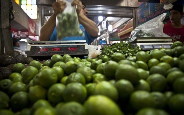PRODUCTORES DE LIMÓN REALIZAN PARO INDEFINIDO EN PROTESTA POR EXTORSIONES