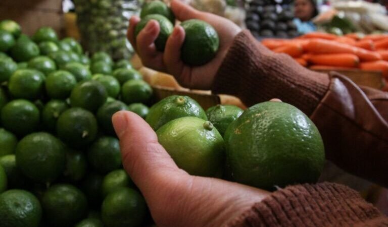 LÓPEZ OBRADOR ATRIBUYE SUBIDA EN PRECIO DEL LIMÓN A EXTORSIONES DEL CRIMEN ORGANIZADO