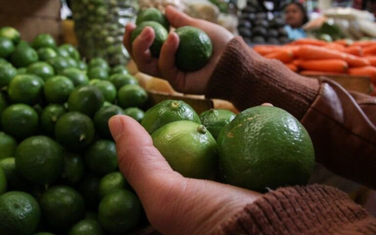 LÓPEZ OBRADOR ATRIBUYE SUBIDA EN PRECIO DEL LIMÓN A EXTORSIONES DEL CRIMEN ORGANIZADO