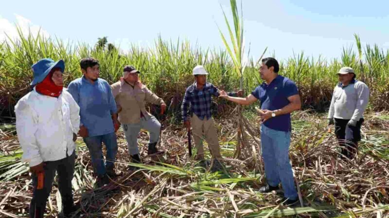 FAVORECE A CAMPESINOS PROGRAMA JUNTOS TRANSFORMANDO EL CAMPO